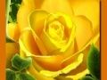 بازی رزهای زرد آنلاین