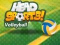 بازی والیبال Head Sports آنلاین