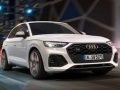 بازی Audi SQ5 TDI سر خوردن آنلاین