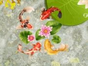 بازی برکه ماهی کوی آنلاین