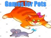 بازی بازی‌ها برای حیوانات خانگی آنلاین