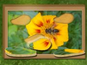 بازی ﻥﺎﻬﻨﭘ ﻝﺯﺎﭘ :ﯽﺑﺎﯾﺯﺎﺑ ﻭ ﻥﺩﺮﮐ ﺍﺪﯿﭘ آنلاین