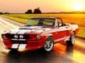 بازی تفاوت‌های موستانگ لوکس آنلاین