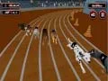 بازی تب و شوق مسابقه سگ دیوانه آنلاین