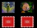بازی حافظه ماهی آنلاین