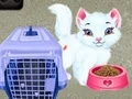 بازی مراقبت از حیوانات خانگی بیبی تیلور آنلاین