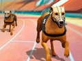بازی مسابقات سگ‌ها3D آنلاین