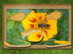 بازی ﻥﺎﻬﻨﭘ ﻝﺯﺎﭘ :ﯽﺑﺎﯾﺯﺎﺑ ﻭ ﻥﺩﺮﮐ ﺍﺪﯿﭘ آنلاین