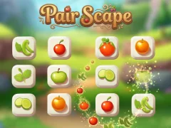 بازی Pair Scape آنلاین