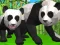 بازی شبیه‌ساز پاندا 3D آنلاین
