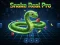 بازی Snake Real Pro آنلاین