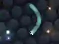 بازی Slither.io آنلاین