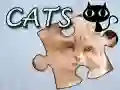 بازی پازل: گربه‌ها آنلاین