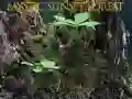 بازی جنگل غروب رازآلود آنلاین