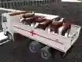 بازی حمل و نقل حیوانات خانگی با کامیون آنلاین