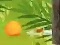 بازی دشنه گرمسیری آنلاین بازی دشنه گرمسیری آنلاین