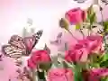 بازی پازل پروانهها آنلاین بازی پازل پروانهها آنلاین