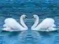 بازی سرخوردگی قوی ها آنلاین