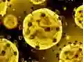 بازی سرسره ویروس کرونا آنلاین