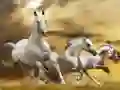 بازی سرسره اسب دویدن آنلاین بازی سرسره اسب دویدن آنلاین
