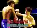بازی UFC مبارزه تطابق پازل آنلاین