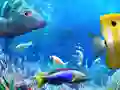 بازی برویم ماهیگیری آنلاین بازی برویم ماهیگیری آنلاین