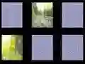 بازی حافظه طبیعت آنلاین بازی حافظه طبیعت آنلاین