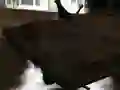 بازی دریفت Z آنلاین