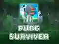 بازی PUBG بازمانده آنلاین بازی PUBG بازمانده آنلاین