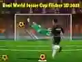 بازی جام جهانی فوتبال واقعی فلیکر 3D 2023 آنلاین