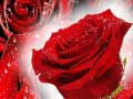 بازی رزهای قرمز آنلاین