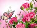 بازی پازل پروانه‌ها آنلاین