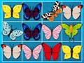 بازی شاه Mahjong آنلاین