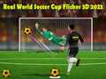بازی جام جهانی فوتبال واقعی فلیکر 3D 2023 آنلاین